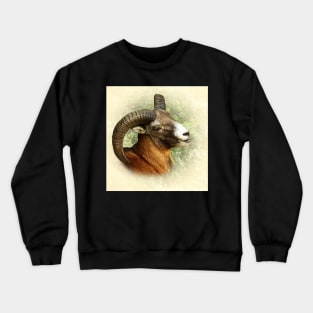 Mouflon Crewneck Sweatshirt